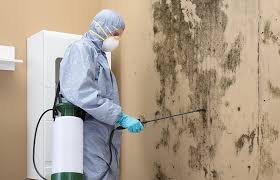 Best Crawl Space Mold Remediation  in River Falls, WI